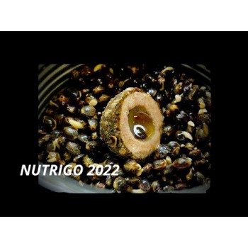 LK Baits Nutrigo FEED-EX Garlic Liver Boilas ar šķidru pildījumu (Aknas un Ķiploki) 800g, 20mm