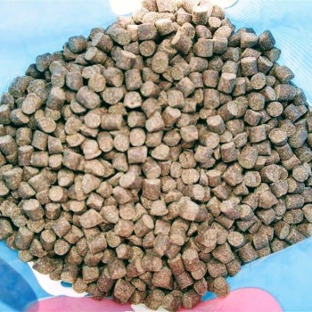 Dudi Bait Fishmeal Pellets Peletes (Zivju) 1kg