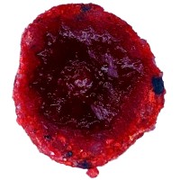 LK Baits CUC! RAISIN Wild Strawberry Āķa ēsma ar rozīņu pildījumu (Meža zemene) 50g