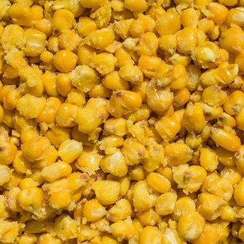 LK Baits IQ Method Feeder Natural Corn Vārīta kukurūza 1kg