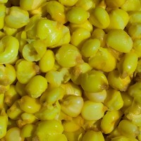 LK Baits IQ Method Feeder Mega Corn Vārīta kukurūza liela izmēra 1kg