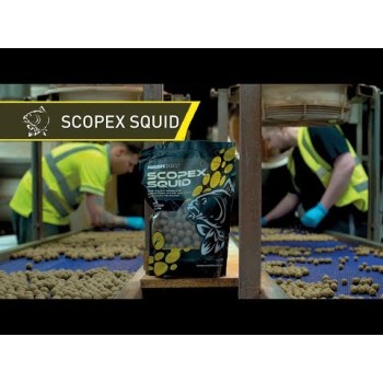 NASH Scopex Squid Liquid Bait Soak Dips kalmārs 250ml