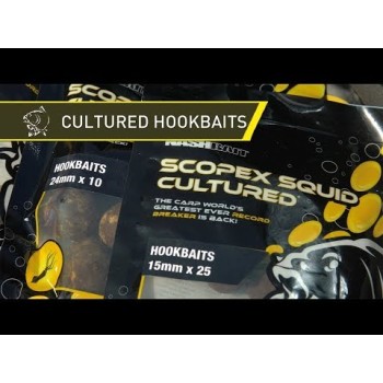 NASH Scopex Squid Cultured Hookbaits Boilas šķīstošās (putekļāinās), Kalmārs