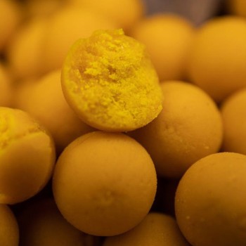 NASH Citruz Boilies Yellow Boilas (Citrusaugļu) 1kg 12mm