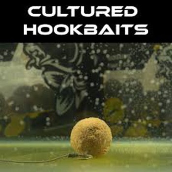 NASH Scopex Squid Cultured Hookbaits Boilas šķīstošās (putekļāinās), Kalmārs