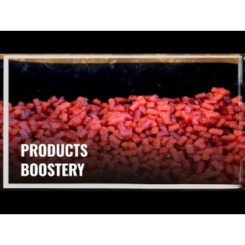 LK Baits Euro Economic G8-Pineapple Booster Busters (Ananāss + Ingvers) 250ml